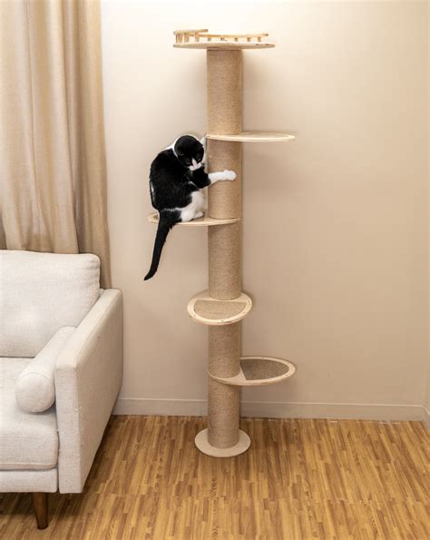 cat tree 72 inch